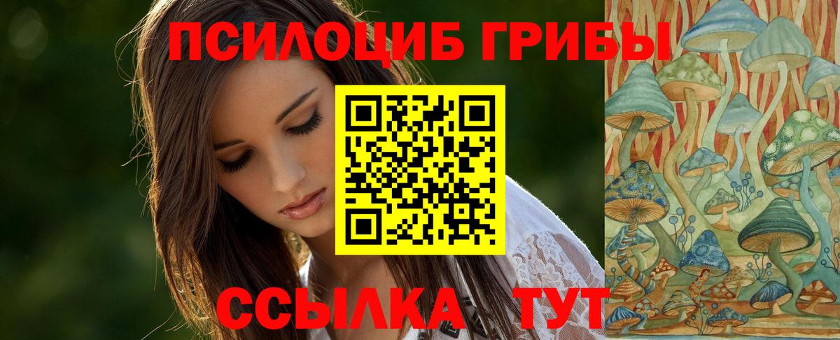 Псилоцибиновые грибы GOLDEN TEACHER Кубинка
